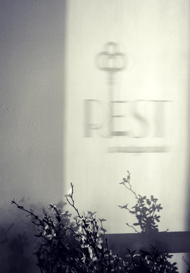 Rest, A Boutique Hotel Plymouth Ngoại thất bức ảnh
